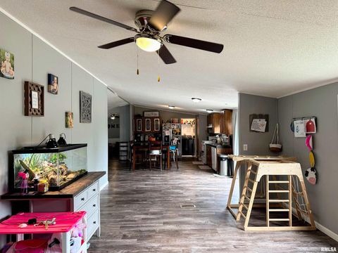 Tiny photo for 65 Payne Drive, Goreville, IL 62939 (MLS # EB459963)