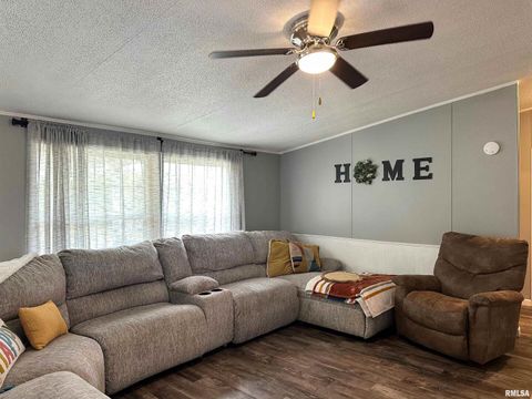 Tiny photo for 65 Payne Drive, Goreville, IL 62939 (MLS # EB459963)