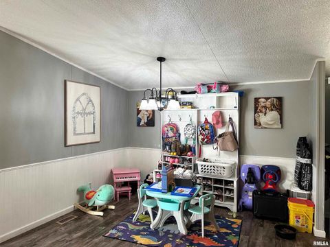 Tiny photo for 65 Payne Drive, Goreville, IL 62939 (MLS # EB459963)