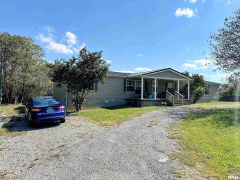 Tiny photo for 65 Payne Drive, Goreville, IL 62939 (MLS # EB459963)