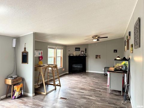 Tiny photo for 65 Payne Drive, Goreville, IL 62939 (MLS # EB459963)