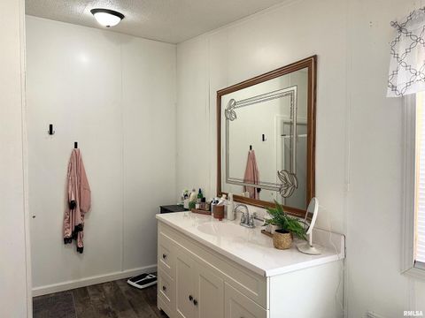 Tiny photo for 65 Payne Drive, Goreville, IL 62939 (MLS # EB459963)