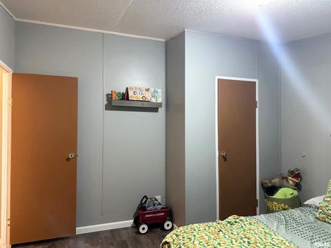 Tiny photo for 65 Payne Drive, Goreville, IL 62939 (MLS # EB459963)