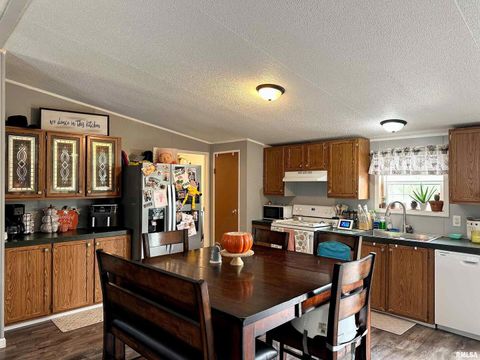 Tiny photo for 65 Payne Drive, Goreville, IL 62939 (MLS # EB459963)