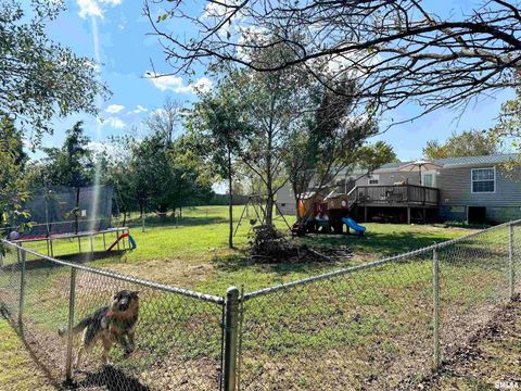 Tiny photo for 65 Payne Drive, Goreville, IL 62939 (MLS # EB459963)