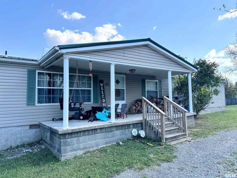 Tiny photo for 65 Payne Drive, Goreville, IL 62939 (MLS # EB459963)