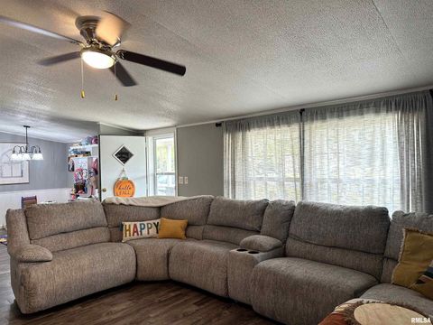 Tiny photo for 65 Payne Drive, Goreville, IL 62939 (MLS # EB459963)