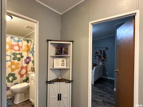 Tiny photo for 65 Payne Drive, Goreville, IL 62939 (MLS # EB459963)