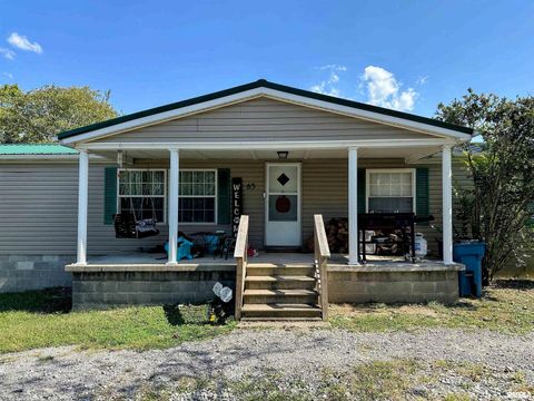 Tiny photo for 65 Payne Drive, Goreville, IL 62939 (MLS # EB459963)