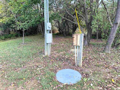 Tiny photo for 65 Payne Drive, Goreville, IL 62939 (MLS # EB459963)