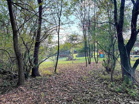 Tiny photo for 65 Payne Drive, Goreville, IL 62939 (MLS # EB459963)