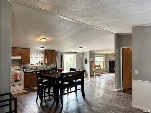 Tiny photo for 65 Payne Drive, Goreville, IL 62939 (MLS # EB459963)