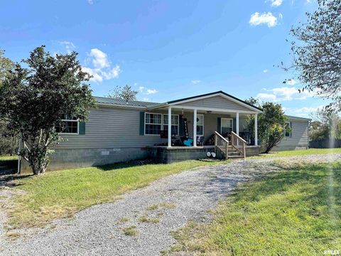 Photo of 65 Payne Drive, Goreville, IL 62939 (MLS # EB459963)