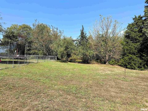 Tiny photo for 65 Payne Drive, Goreville, IL 62939 (MLS # EB459963)