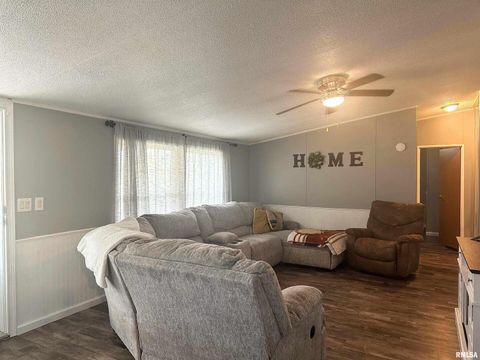 Tiny photo for 65 Payne Drive, Goreville, IL 62939 (MLS # EB459963)