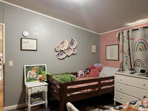 Tiny photo for 65 Payne Drive, Goreville, IL 62939 (MLS # EB459963)