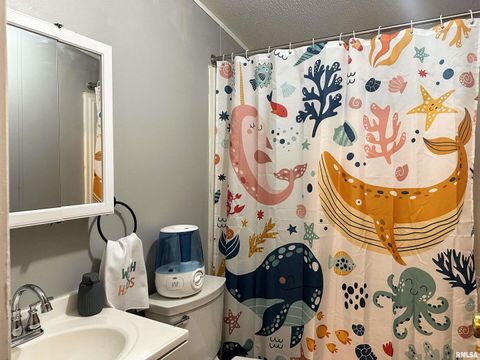 Tiny photo for 65 Payne Drive, Goreville, IL 62939 (MLS # EB459963)