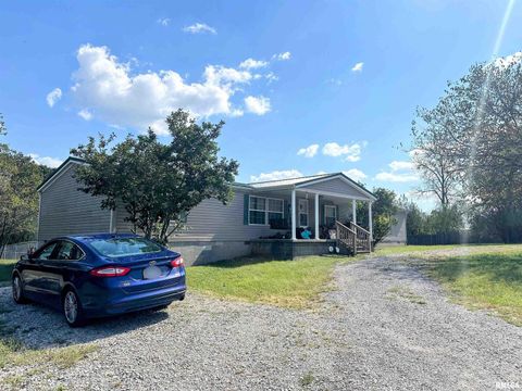 Tiny photo for 65 Payne Drive, Goreville, IL 62939 (MLS # EB459963)