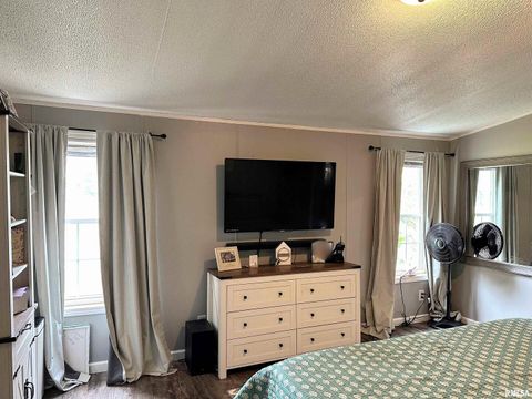 Tiny photo for 65 Payne Drive, Goreville, IL 62939 (MLS # EB459963)