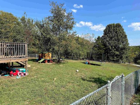 Tiny photo for 65 Payne Drive, Goreville, IL 62939 (MLS # EB459963)