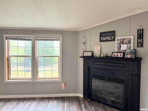 Tiny photo for 65 Payne Drive, Goreville, IL 62939 (MLS # EB459963)