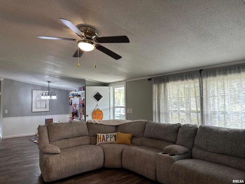 Tiny photo for 65 Payne Drive, Goreville, IL 62939 (MLS # EB459963)