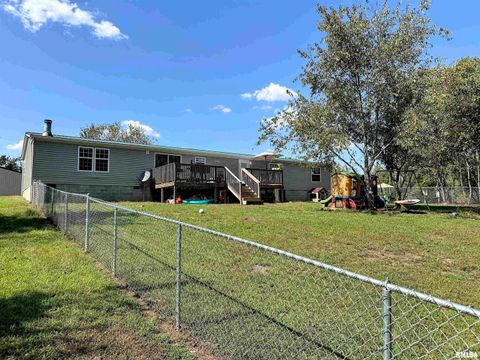 Tiny photo for 65 Payne Drive, Goreville, IL 62939 (MLS # EB459963)