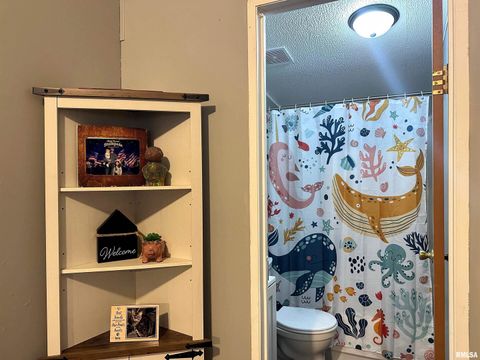 Tiny photo for 65 Payne Drive, Goreville, IL 62939 (MLS # EB459963)