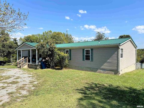 Tiny photo for 65 Payne Drive, Goreville, IL 62939 (MLS # EB459963)