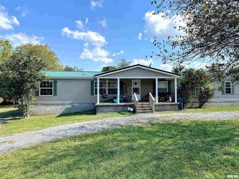 Tiny photo for 65 Payne Drive, Goreville, IL 62939 (MLS # EB459963)