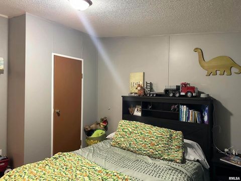 Tiny photo for 65 Payne Drive, Goreville, IL 62939 (MLS # EB459963)