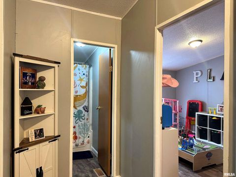 Tiny photo for 65 Payne Drive, Goreville, IL 62939 (MLS # EB459963)