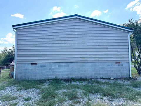 Tiny photo for 65 Payne Drive, Goreville, IL 62939 (MLS # EB459963)