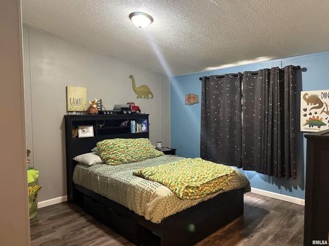 Tiny photo for 65 Payne Drive, Goreville, IL 62939 (MLS # EB459963)