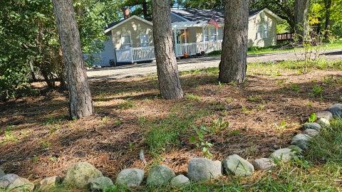 Tiny photo for 1105 S Hough Street, Barrington, IL 60010 (MLS # 12776738)
