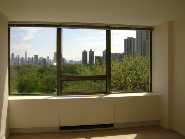 2800 N LAKE SHORE Drive 810