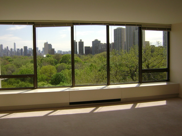 2800 N LAKE SHORE Drive 810