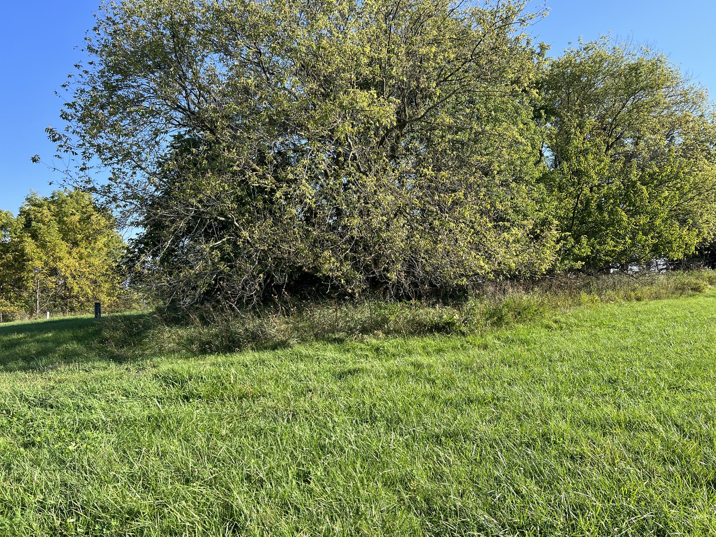 3-521 Shady Lane