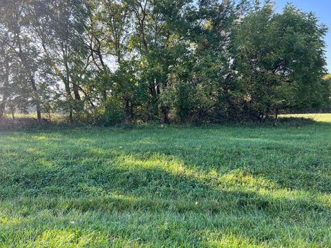 3-521 Shady Lane Lake Carroll IL 61046