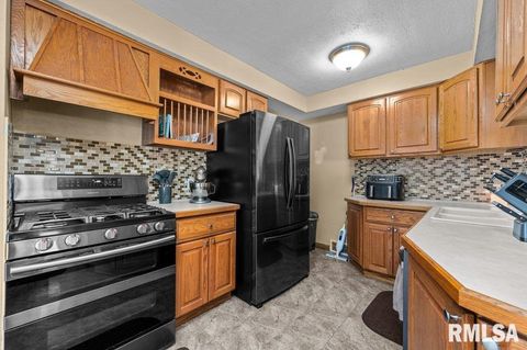 Tiny photo for 1115 35TH Avenue Court, East Moline, IL 61244 (MLS # QC4268971)