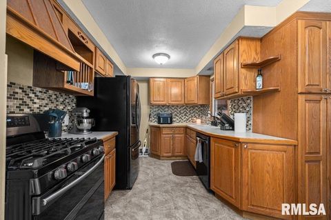 Tiny photo for 1115 35TH Avenue Court, East Moline, IL 61244 (MLS # QC4268971)