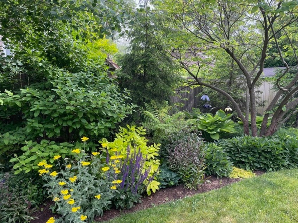 listing image 38