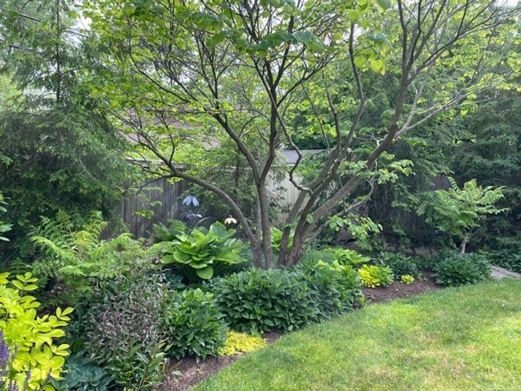 listing image 36