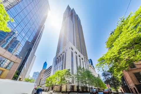 55 E Erie Street 2604 Chicago IL 60611