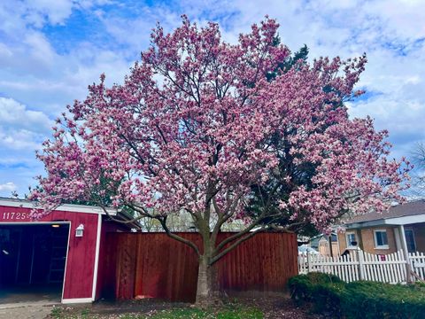 Tiny photo for 11725 S Keeler Avenue, Alsip, IL 60803 (MLS # 12639153)