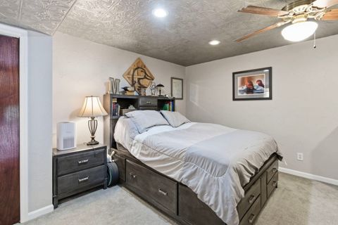 Tiny photo for 588 Toler Lane, Goreville, IL 62939 (MLS # 12634836)