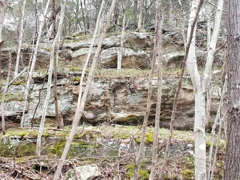 Tiny photo for 588 Toler Lane, Goreville, IL 62939 (MLS # 12634836)