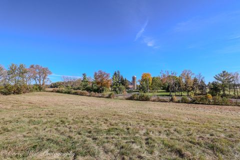 Tiny photo for 11N315 Mcgough Road, Hampshire, IL 60140 (MLS # 12531285)