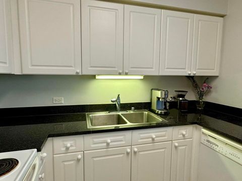 Tiny photo for Chicago, IL 60611 (MLS # 12493543)