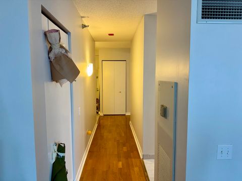 Tiny photo for Chicago, IL 60611 (MLS # 12493543)